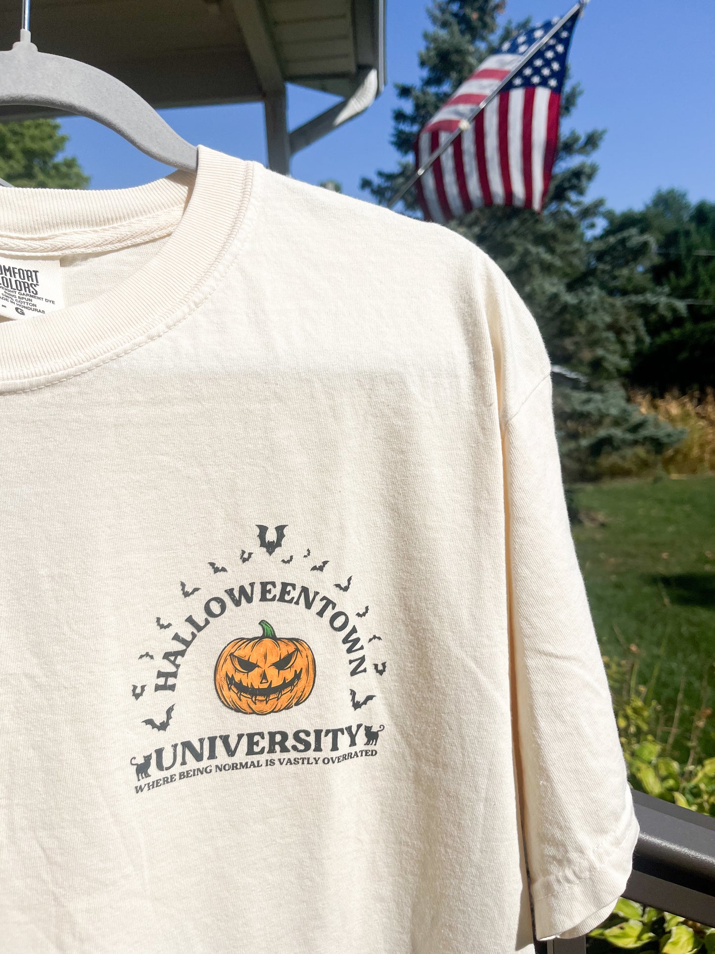 Halloweentown University DTF