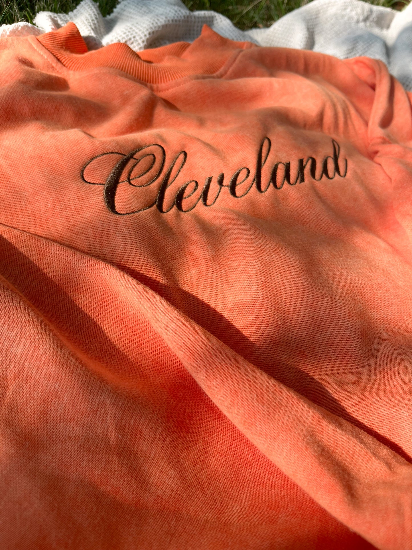 Cleveland Mineral Wash Crewneck