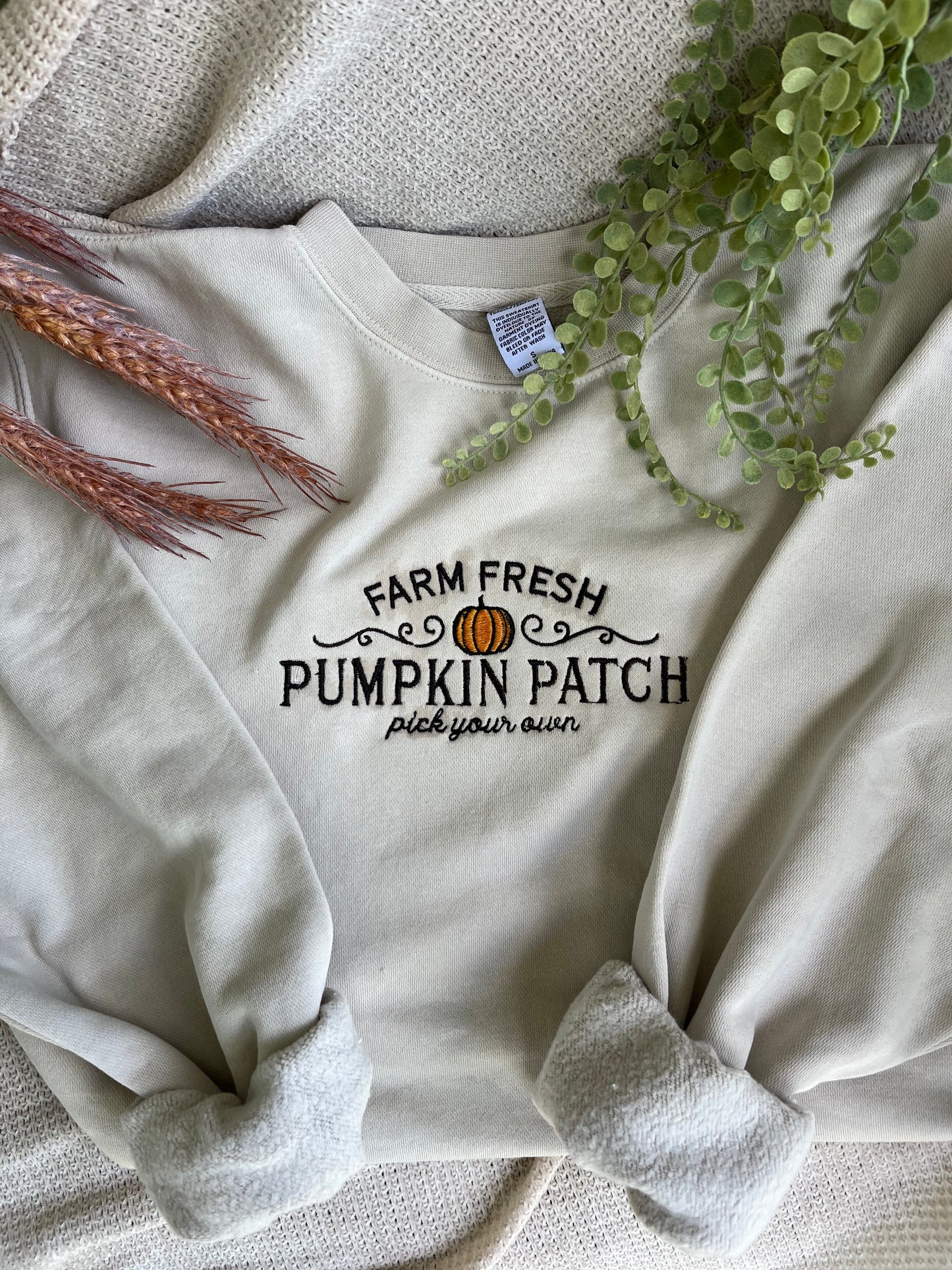 Pumpkin Patch Embroidered Sweatshirt