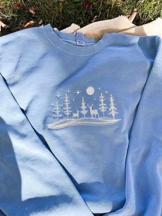 Winter Embroidered Sweatshirt